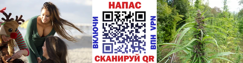 Бошки Шишки Amnesia  купить  цена  Ладушкин 
